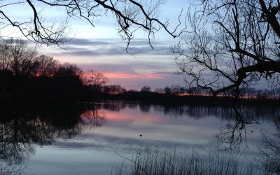 Sommerspaziergang am 20. August 2016 ab 14.00 Uhr