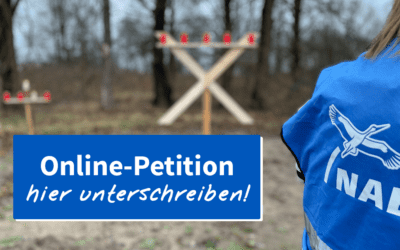 Garbsen braucht echten Baumschutz – jetzt Online-Petition unterschreiben!