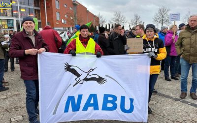 NABU Garbsen bei Demonstration für Demokratie und Vielfalt